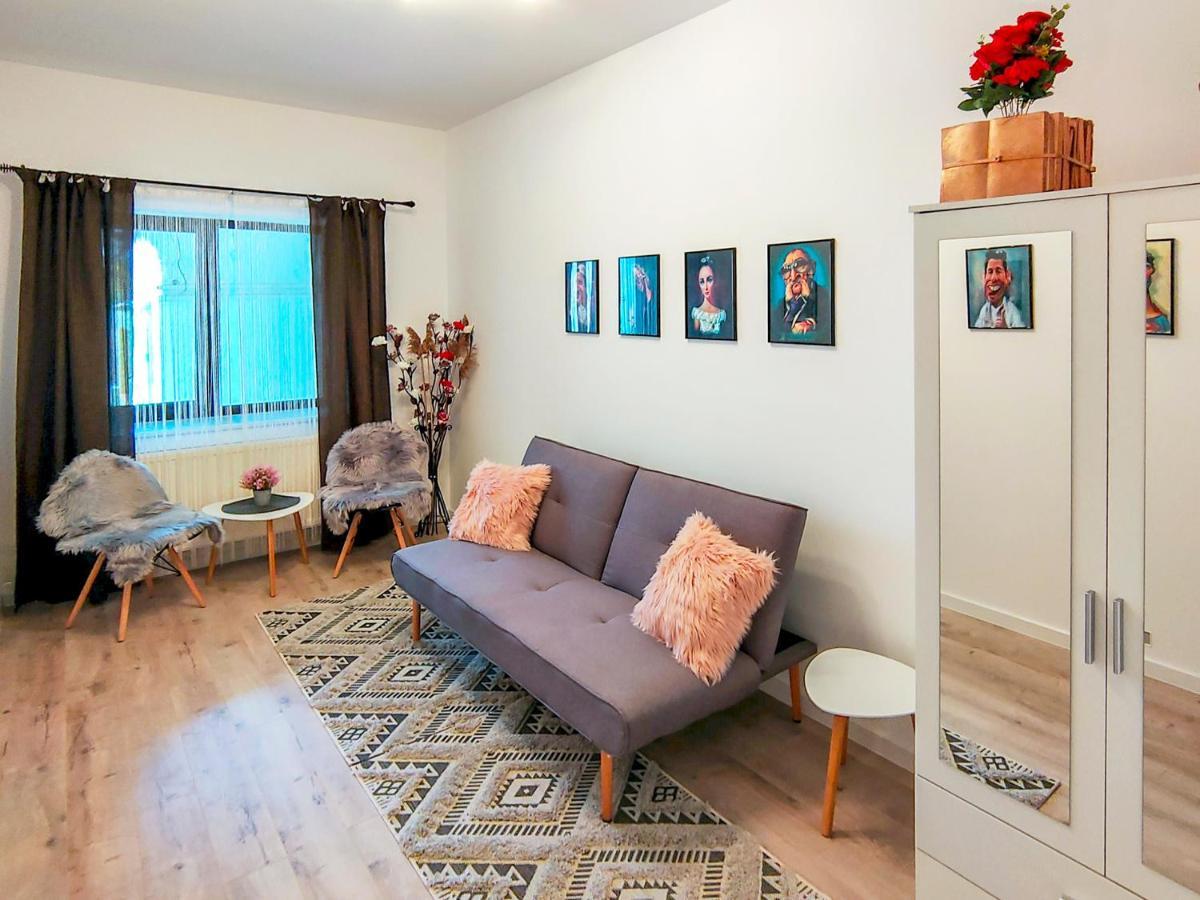 22 Loop Apartment Brassó Kültér fotó